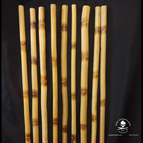 Wicked Twisted Wizard Staffs